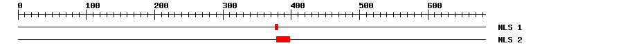 NLS