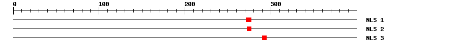 NLS