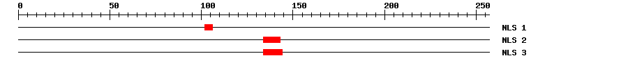 NLS
