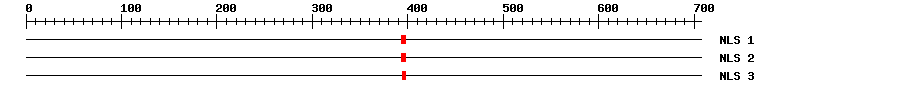 NLS
