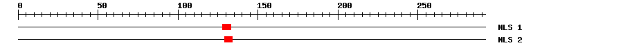 NLS