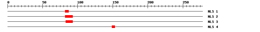 NLS