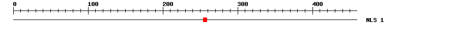NLS