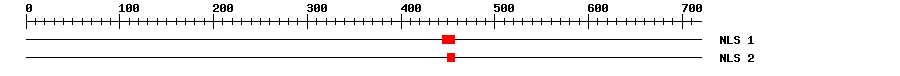 NLS
