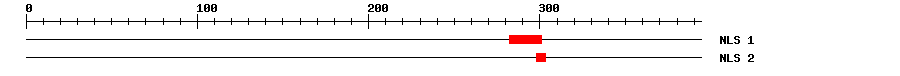 NLS