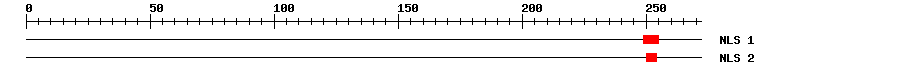 NLS