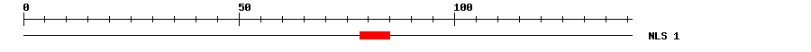 NLS