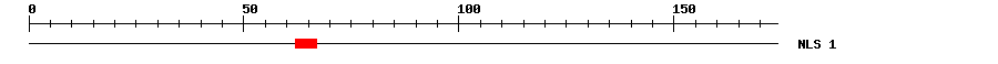 NLS