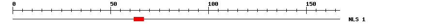 NLS