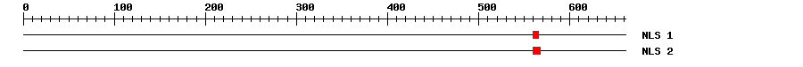 NLS