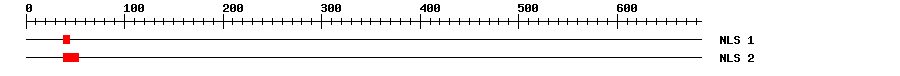 NLS