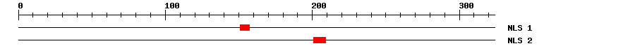 NLS
