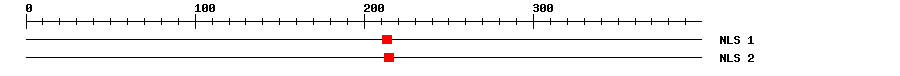 NLS