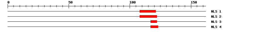 NLS