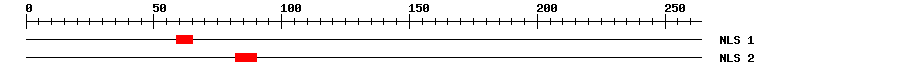 NLS