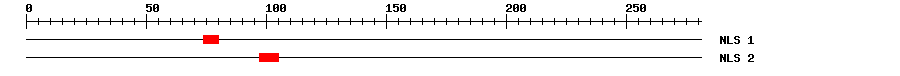 NLS