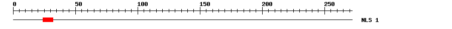 NLS