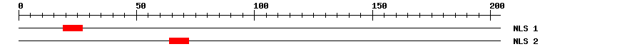 NLS