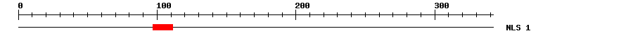 NLS