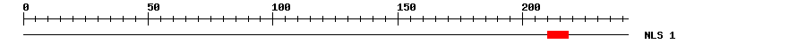 NLS