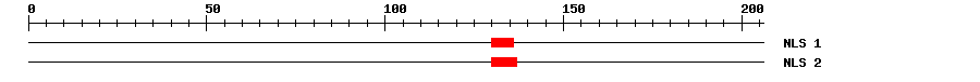 NLS