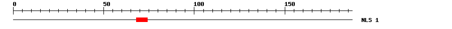 NLS
