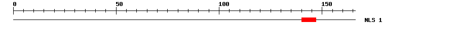 NLS