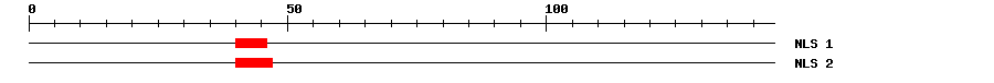 NLS