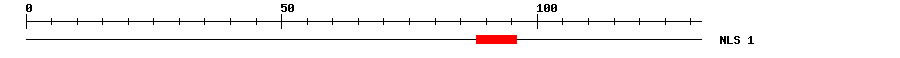 NLS