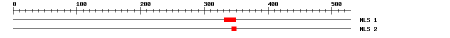 NLS