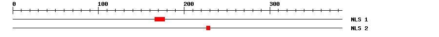 NLS