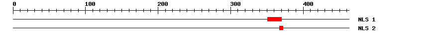 NLS
