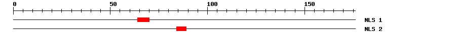 NLS
