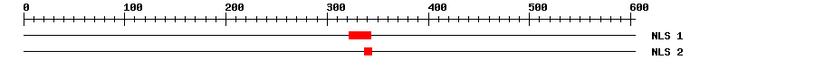NLS