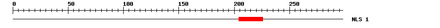 NLS