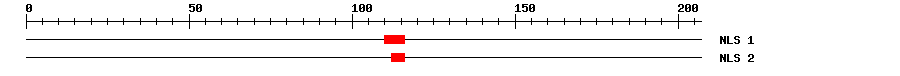 NLS