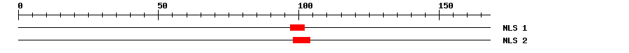 NLS