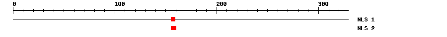 NLS