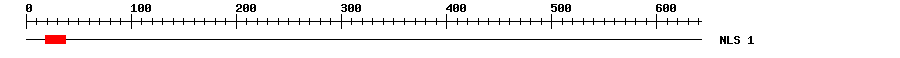 NLS