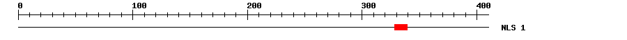 NLS