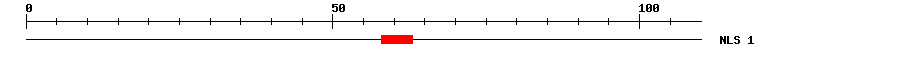 NLS