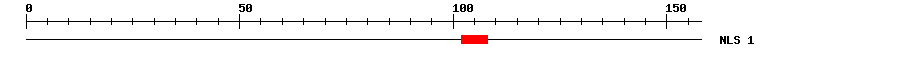 NLS