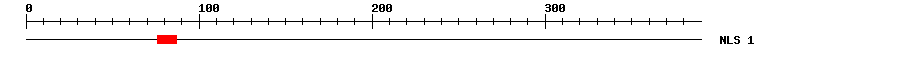 NLS