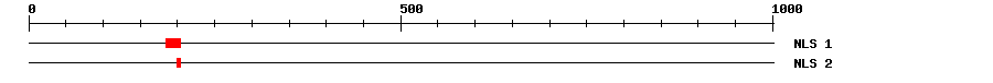 NLS