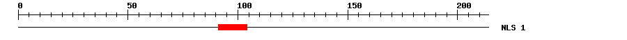 NLS