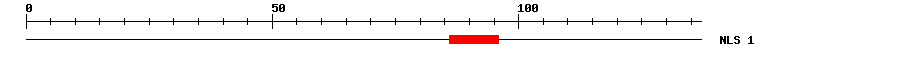 NLS
