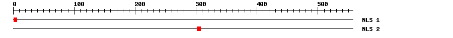 NLS