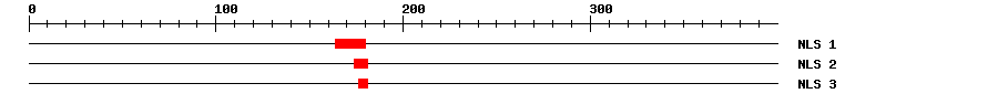 NLS