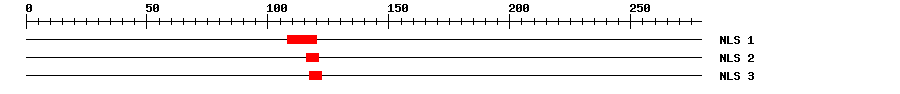 NLS