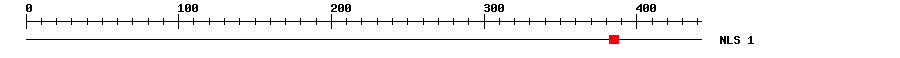 NLS